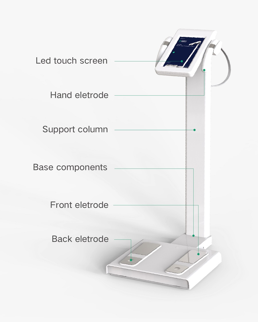 Biometric Smart Health Scale